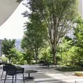 虎ノ門コーヒー（TORANOMON KOFFEE）の写真_412772