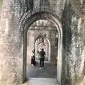 南禅寺の写真_413141