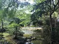 南禅寺の写真_413144