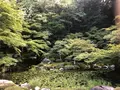 南禅寺の写真_413146