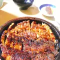 蓬扇の写真_413934