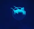 しまね海洋館アクアスの写真_416387