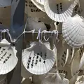 姫嶋神社の写真_416679