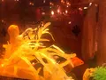 and people （アンドピープル） の写真_423558