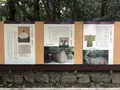 熱田神宮の写真_423704
