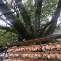 熱田神宮の写真_423706