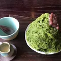 無上帑の写真_424558