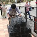 大涌谷くろたまご館の写真_425243