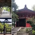 東福寺の写真_428644