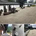 東福寺の写真_428646