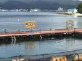 淡路じゃのひれフィッシングパークの写真_429684