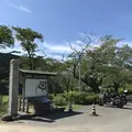 篠山城跡の写真_430763