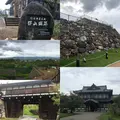 郡山城跡の写真_431816