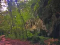 斎場御嶽の写真_434022