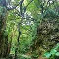 斎場御嶽の写真_434027