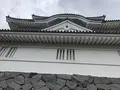 千葉県中央博物館　大多喜城分館の写真_435266