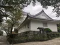 千葉県中央博物館　大多喜城分館の写真_435273