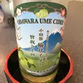 鯛ごはん懐石 瓔珞の写真_436149