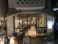 belts ベルツの写真_436969