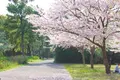 海の中道海浜公園の写真_437465