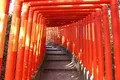 福徳稲荷神社の写真_437466