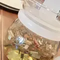 美菜ダイニングＮＩＣＯの写真_437644