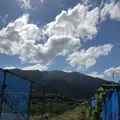 葡萄屋iwaki （ぶどう農園）の写真_440879