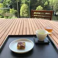 虎屋菓寮 赤坂店の写真_441239