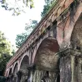 南禅寺の写真_441258