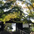 知恩院の写真_441265