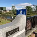 サケのふるさと 千歳水族館の写真_441363