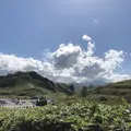 神威岬の写真_441421
