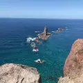 神威岬の写真_441426