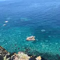 神威岬の写真_441428