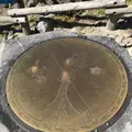 神威岬の写真_441430