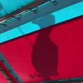 水中展望船ニューしゃこたん号の写真_441449
