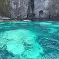水中展望船ニューしゃこたん号の写真_441457