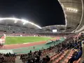 デンカビッグスワンスタジアムの写真_442791