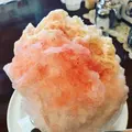 レモンの木の写真_445488