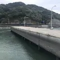 大空食堂（ﾁｬﾝﾎﾟﾝ）の写真_447657