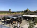 ラコリーナ近江八幡の写真_448268