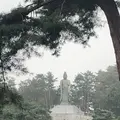 塩船観音寺の写真_451713