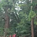 塩船観音寺の写真_451715