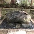 塩船観音寺の写真_451718