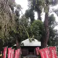 塩船観音寺の写真_451726