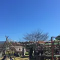 笠間工芸の丘の写真_452483