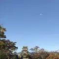 松本城の写真_453998
