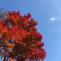 榛名湖の写真_454173
