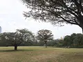 木場公園の写真_454803