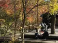 ハルニレテラスの写真_454835